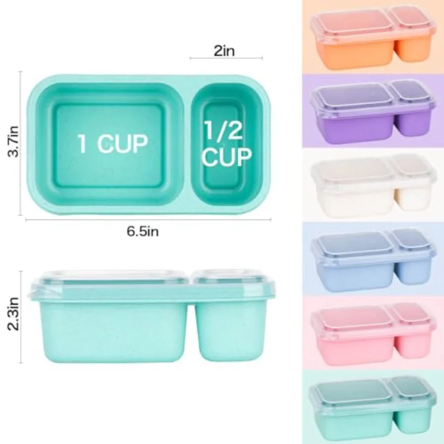2-Compartment Reusable Snack C - Food Packed Snacks recensie en prijs