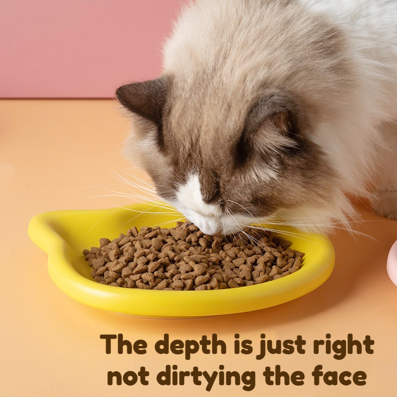 4-Color Pet Bowl Cat Food Dish - Food Snacks That Are Black recensie en prijs