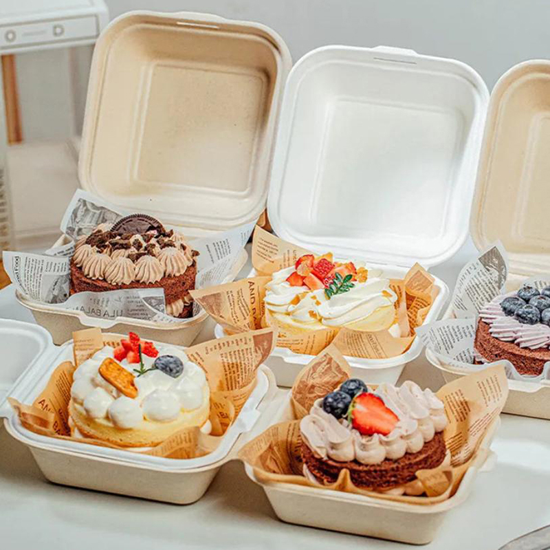 【Nice】10pcs Disposable Bento F - Nice Food Snacks recensie en prijs