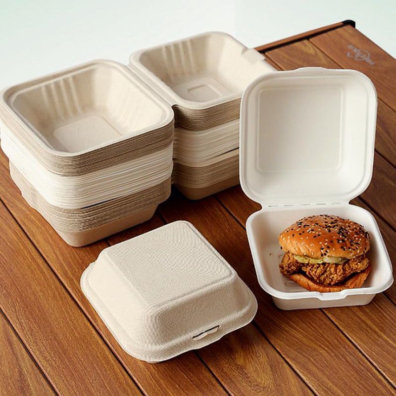 【Nice】10pcs Disposable Bento F - Nice Food Snacks recensie en prijs