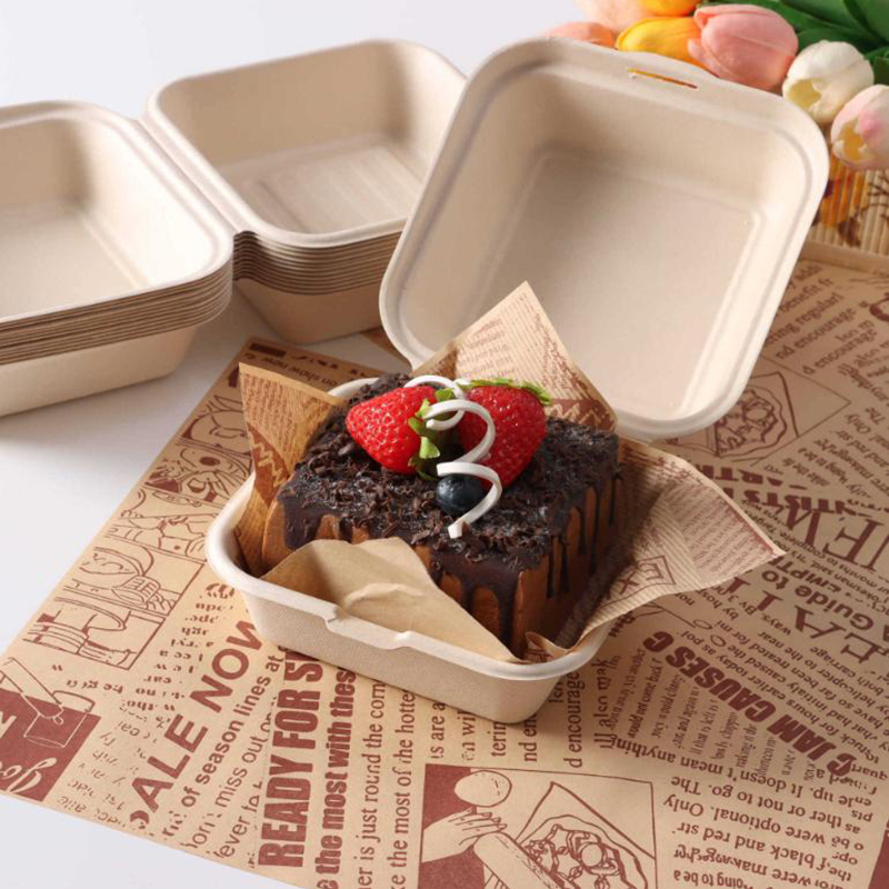 【Nice】10pcs Disposable Bento F - Nice Food Snacks recensie en prijs