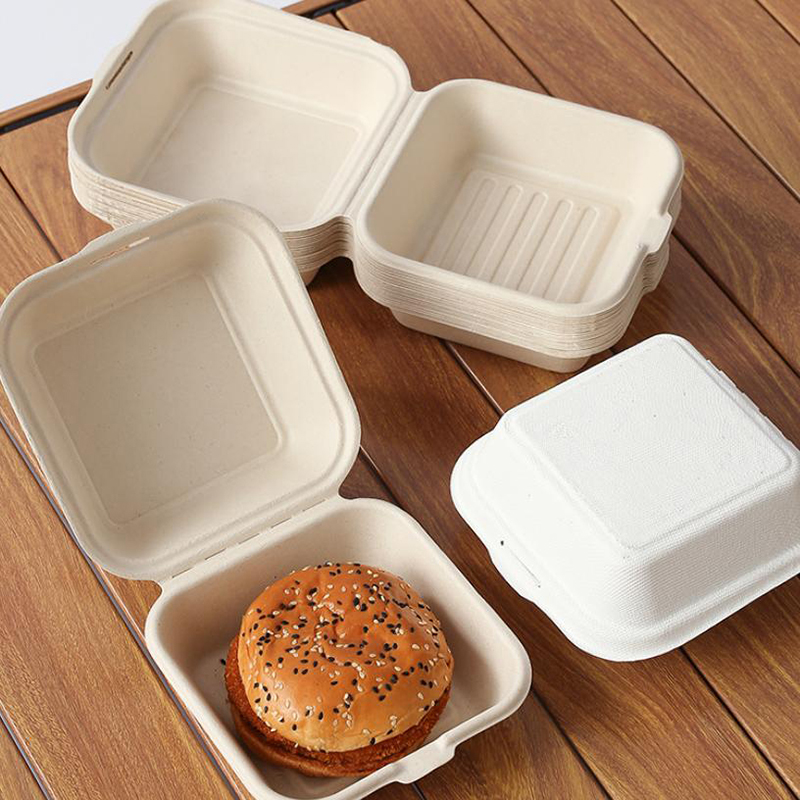 【Nice】10pcs Disposable Bento F - Nice Food Snacks recensie en prijs